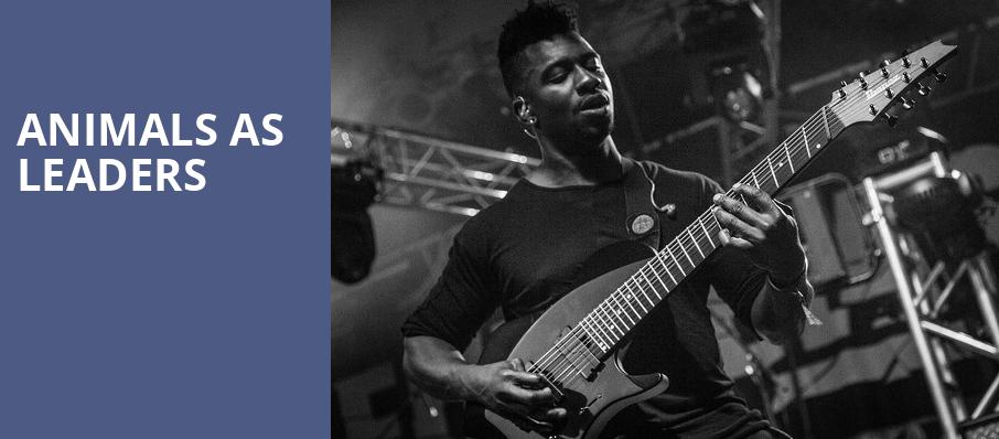Animals As Leaders, The Fillmore, San Francisco