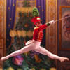 Great Russian Nutcracker at the Flint Center San Francisco CA
