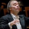 Mariinsky Orchestra