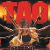 TAO: The Martial Art of Drumming