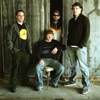 The Disco Biscuits