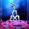 The Peking Acrobats