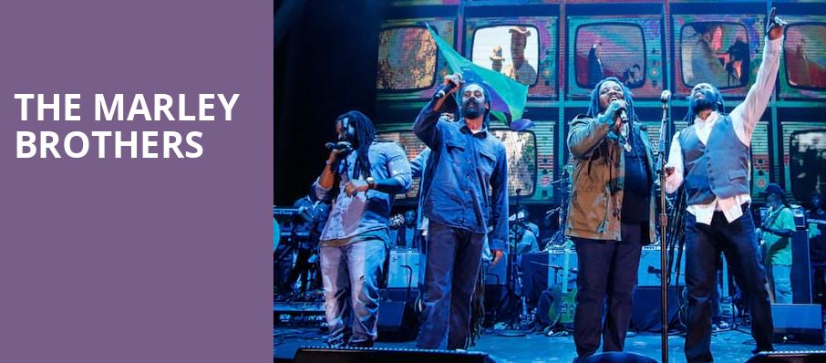 The Marley Brothers, Concord Pavilion, San Francisco