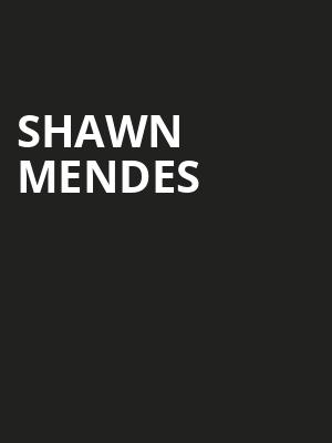 Shawn Mendes, Oakland Arena, San Francisco