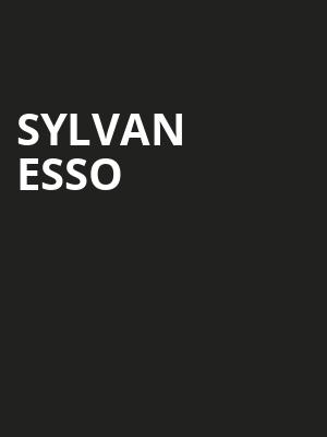 Sylvan Esso Poster