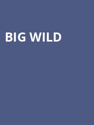 Big Wild, The Greek Theatre Berkley, San Francisco