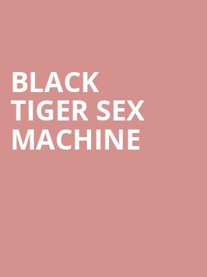 Black Tiger Sex Machine Poster