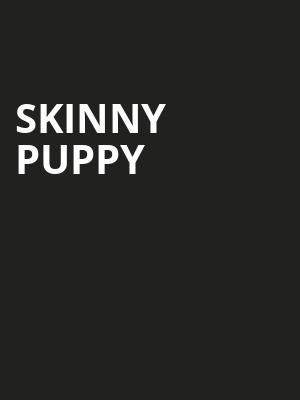 Skinny Puppy, The Fillmore, San Francisco