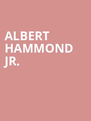 Albert Hammond Jr. Poster