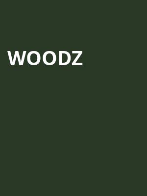 Woodz Poster