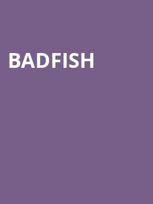 Badfish, The Catalyst, San Francisco