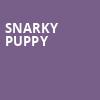 Snarky Puppy, Fox Theatre Oakland, San Francisco