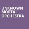 Unknown Mortal Orchestra, The Fillmore, San Francisco