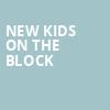 New Kids On The Block, Shoreline Amphitheatre, San Francisco