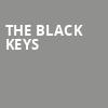 The Black Keys, Shoreline Amphitheatre, San Francisco