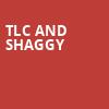 TLC and Shaggy, Concord Pavilion, San Francisco