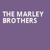 The Marley Brothers, Concord Pavilion, San Francisco