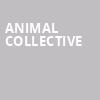 Animal Collective, The Warfield, San Francisco